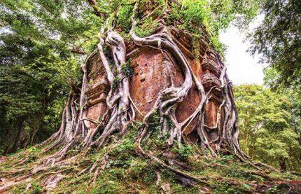 Sambor Prei Kuk Temple Tour with Kampong Kdei Bridge One Day