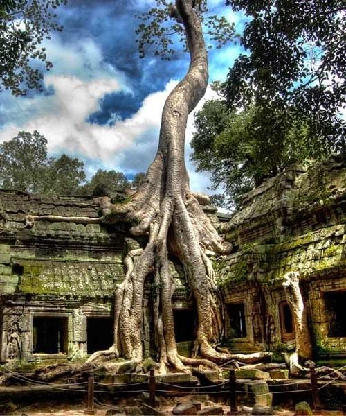 Ta Prohm Temple